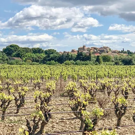 Awesome In Дом отдыха Pouzols-Minervois